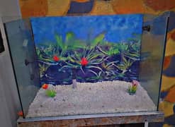 Fish Aquarium & rack for sale