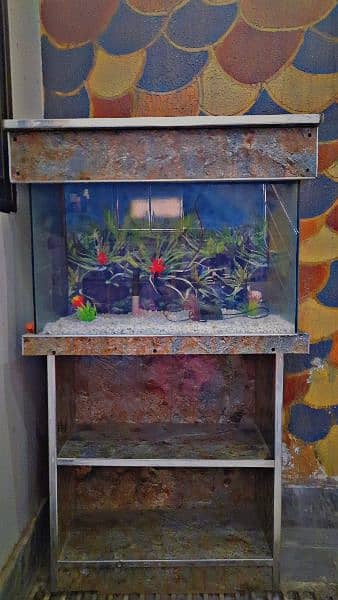 Fish Aquarium & rack for sale 1