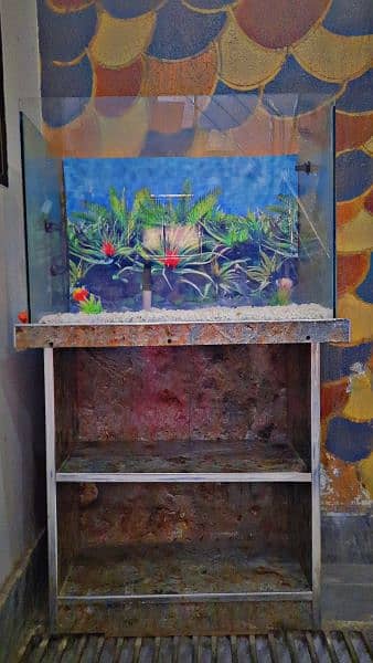 Fish Aquarium & rack for sale 2