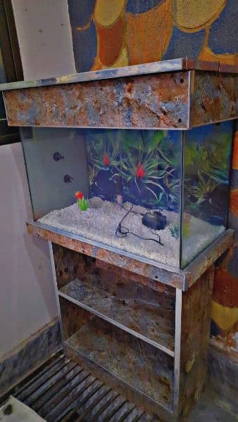 Fish Aquarium & rack for sale 3