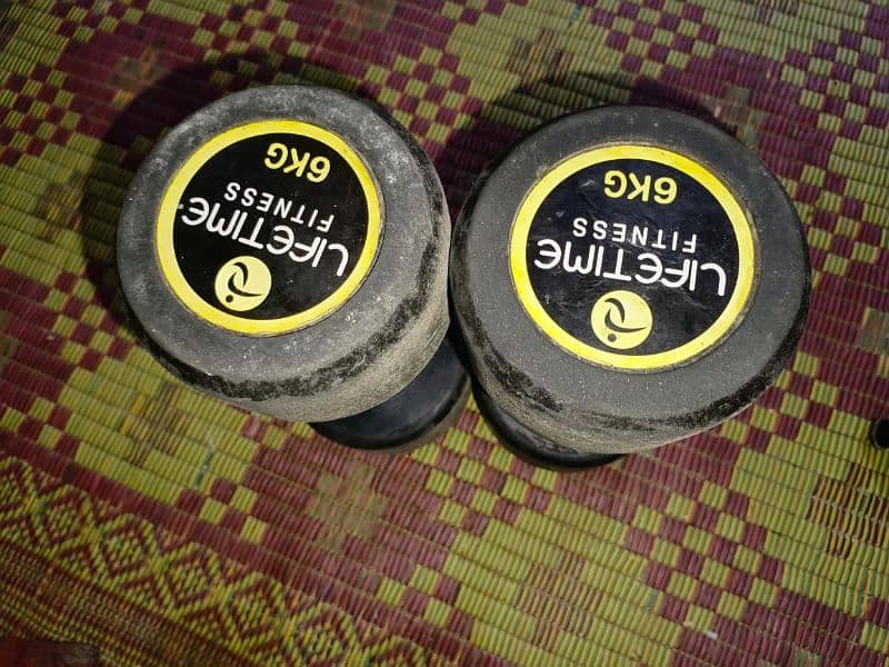 6KG Dumbbells for sale 0