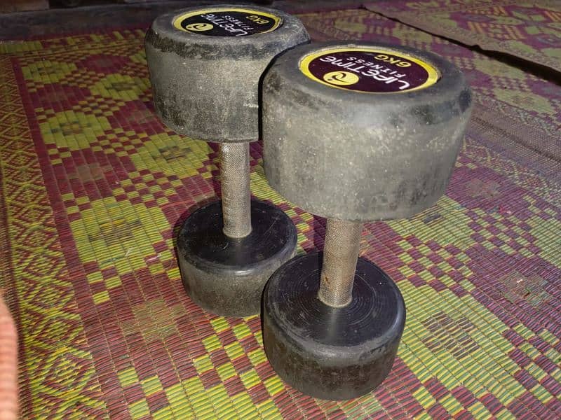 6KG Dumbbells for sale 1