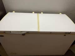 Waves double door freezer