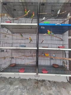 I want to Sale Birds Folding Cage Size 1.5 x 1.5x 2.5