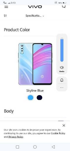 vivo S1.4/128 unit chang only mobile