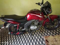 125 gsx,Suzuki,self start,tubeles tire,aloy rim,clear file03437730940