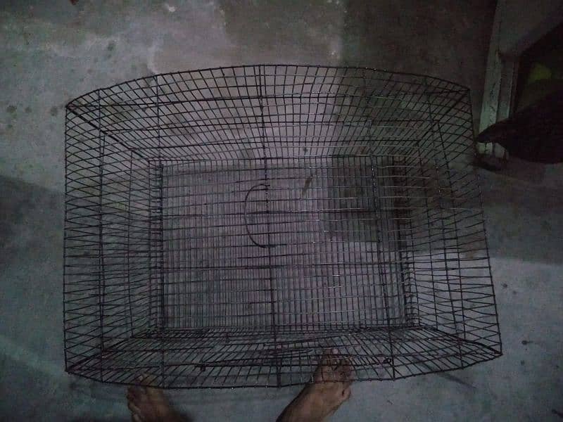 big size cage 3