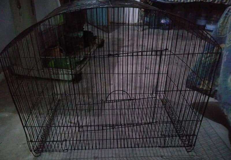 big size cage 6