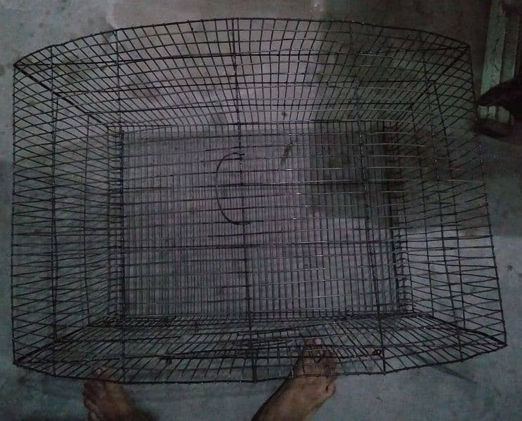 big size cage 7