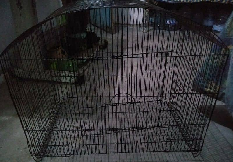 big size cage 8