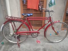 Sohrab cycle for sale 15000 Rs Condition 10/9