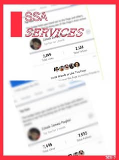 Social Media Services