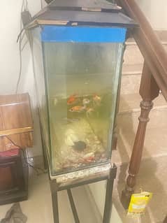 9 fishes with motor tank and stand