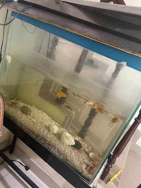 9 fishes with motor tank and stand 1