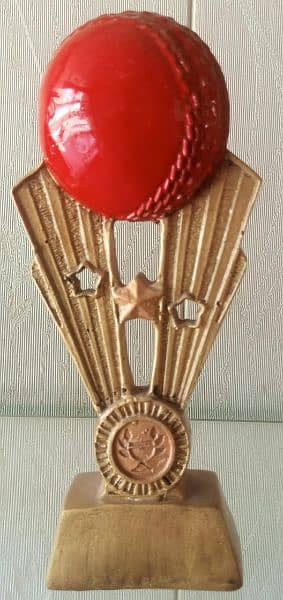 fancy shield trophy medal. 1