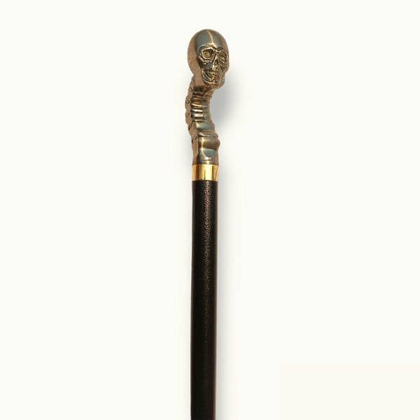 Outdoor Metal Walking Stick, Walking Cane, Stick. 1