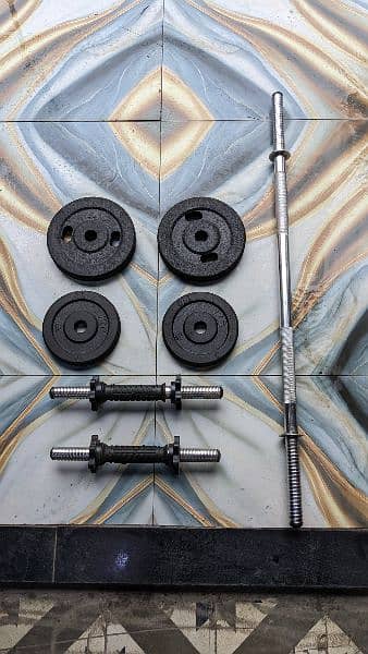 dumbells and plates rubber coated 1