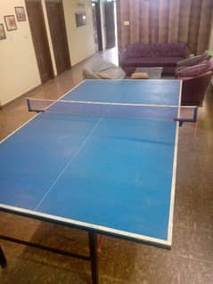 Best Indoor Game | Table Tennis