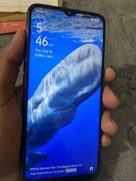 OPPO A31 For Sale 7