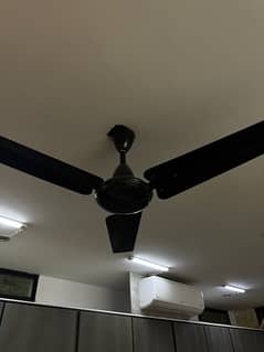 Pak Fan 56inch painted in black