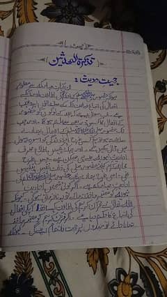 Professional Assignment written in Urdu & English