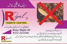 Termite control | Deemak control | Dengue spary,Fumgation Service 0