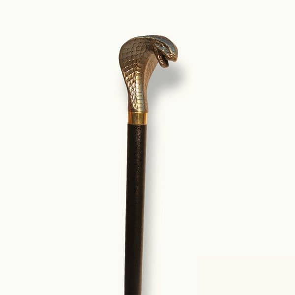 Premium Walking Stick, Outdoor Walking Cane, Stick. 1