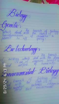 handwriting assignment work