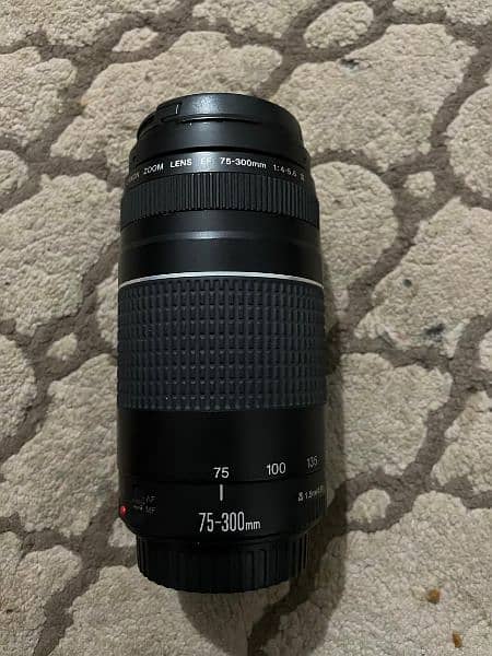 canon new lens 75/300 0