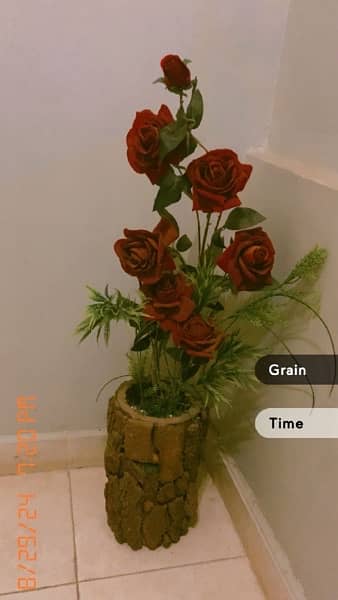 beautiful Rose flower pot 1