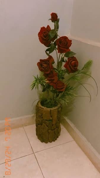 beautiful Rose flower pot 2