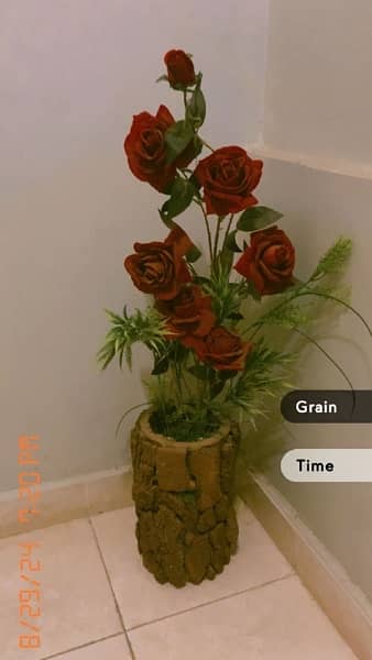 beautiful Rose flower pot 3