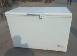 Haier Freezer singel door (0306=4462/443) NYC Condition