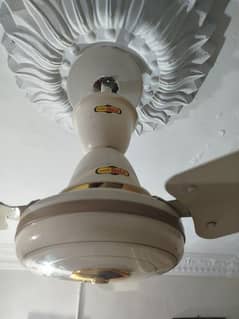 Ceiling fan for sale