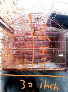 cage for sale 0