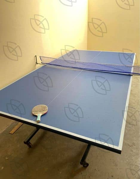 Table tennis table/Fooseball/Carrom/Rackets/balls/Snooker tables 8