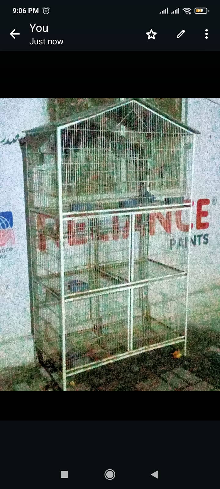 Parrots cage 1