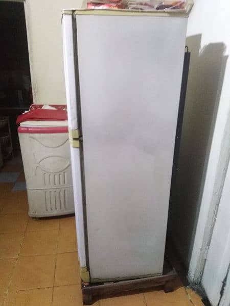 pel fridge good condition 10/9 2