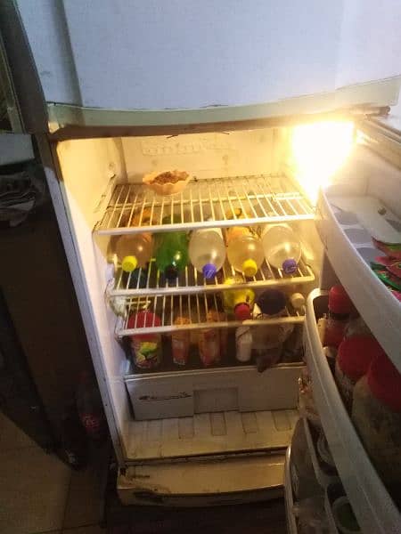 pel fridge good condition 10/9 4