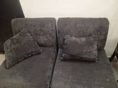 molty foam sofas