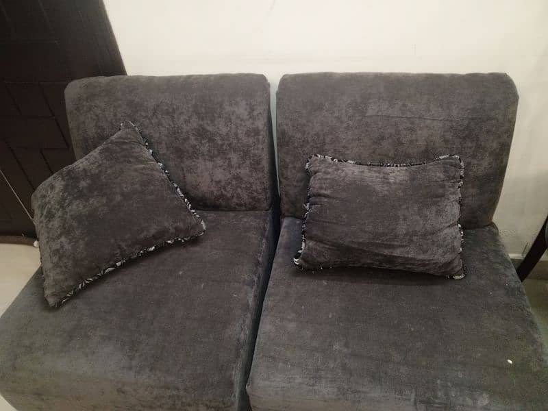 molty foam sofas 1