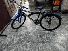 26 Inch Cycle