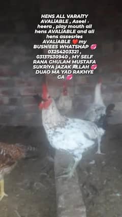 Assalam o alaikum Golden Misri Available , Organic Food , 0