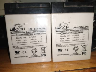6volt batteries leoch