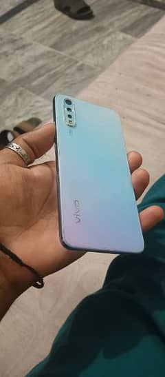 vivo