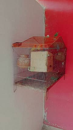 Cage slightly used almost new condition 10/9 for sale cage only 4 sale