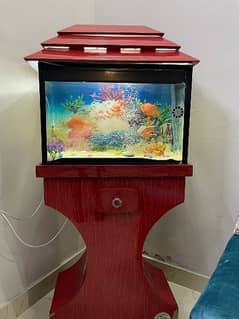 aquarium and 1 pair of parrot fish