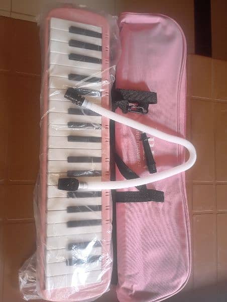 Piano And Melodica 7