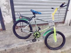 Phoenix Sports Cycle 20" Mtv