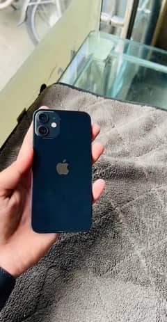 iPhone 12 mini